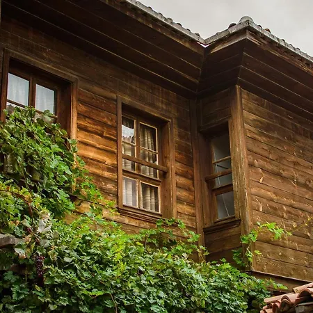 Paradiso 'в' 403 Fancy